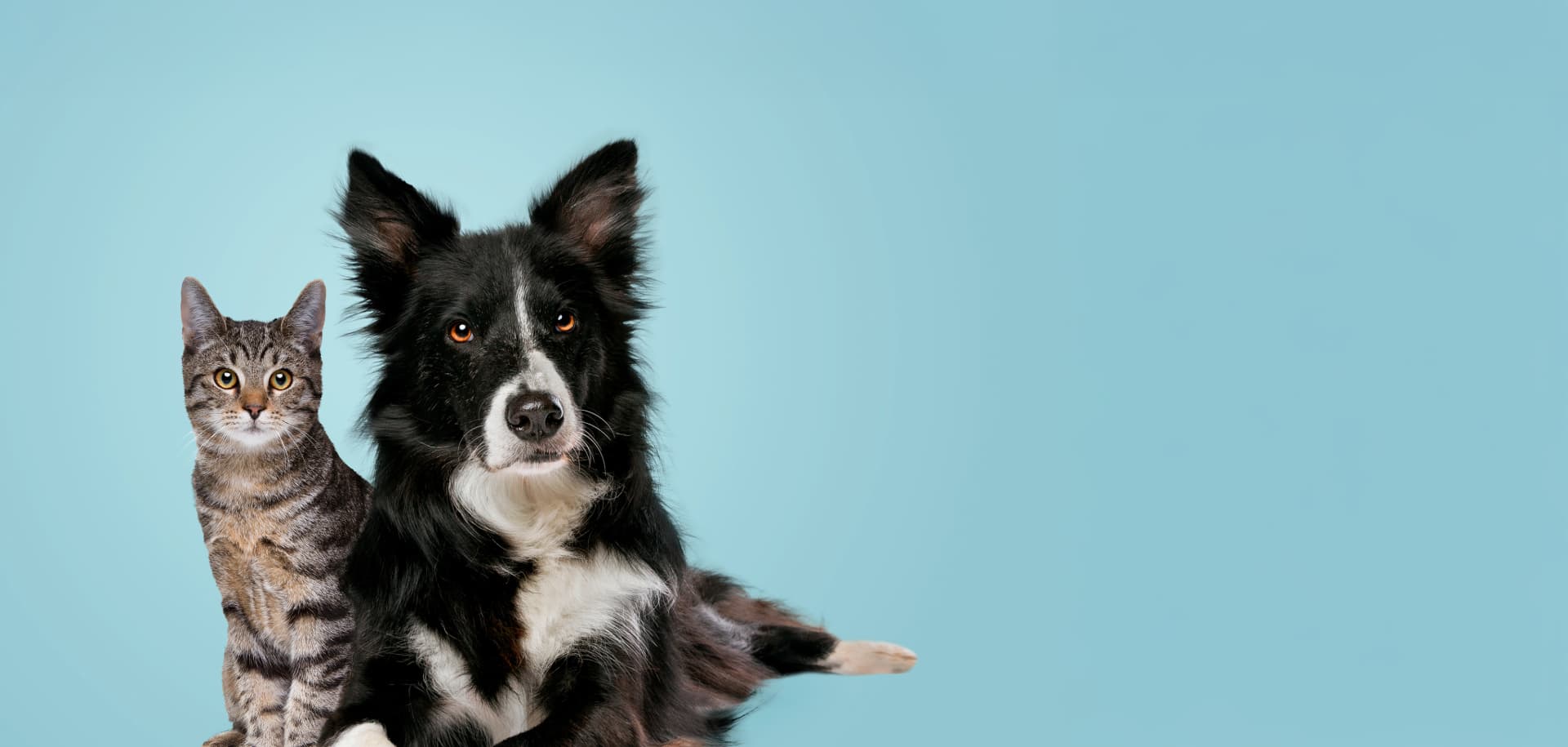 Notfallschlüsselanhänger einrichten